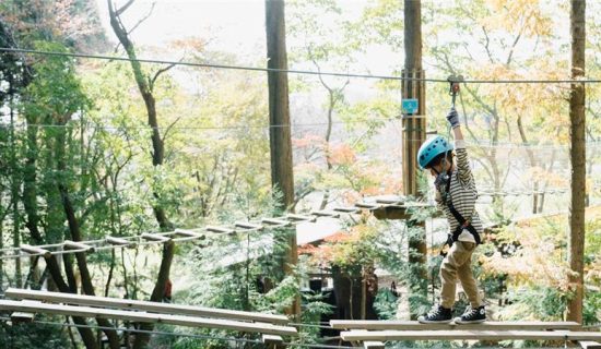 [With experience ticket] Forest Adventure Beppu's Canopy Course Experience / With All-Inclusive