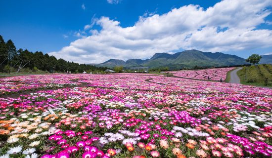 A superb view of the magnificent nature