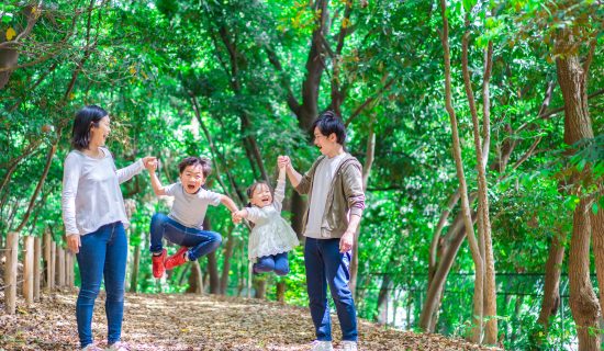 Recommended spots that can be enjoyed by the whole family, from children to adults.