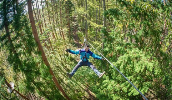 [With experience ticket] Forest Adventure Beppu "Adventure Course" Experience / With All Inclusive