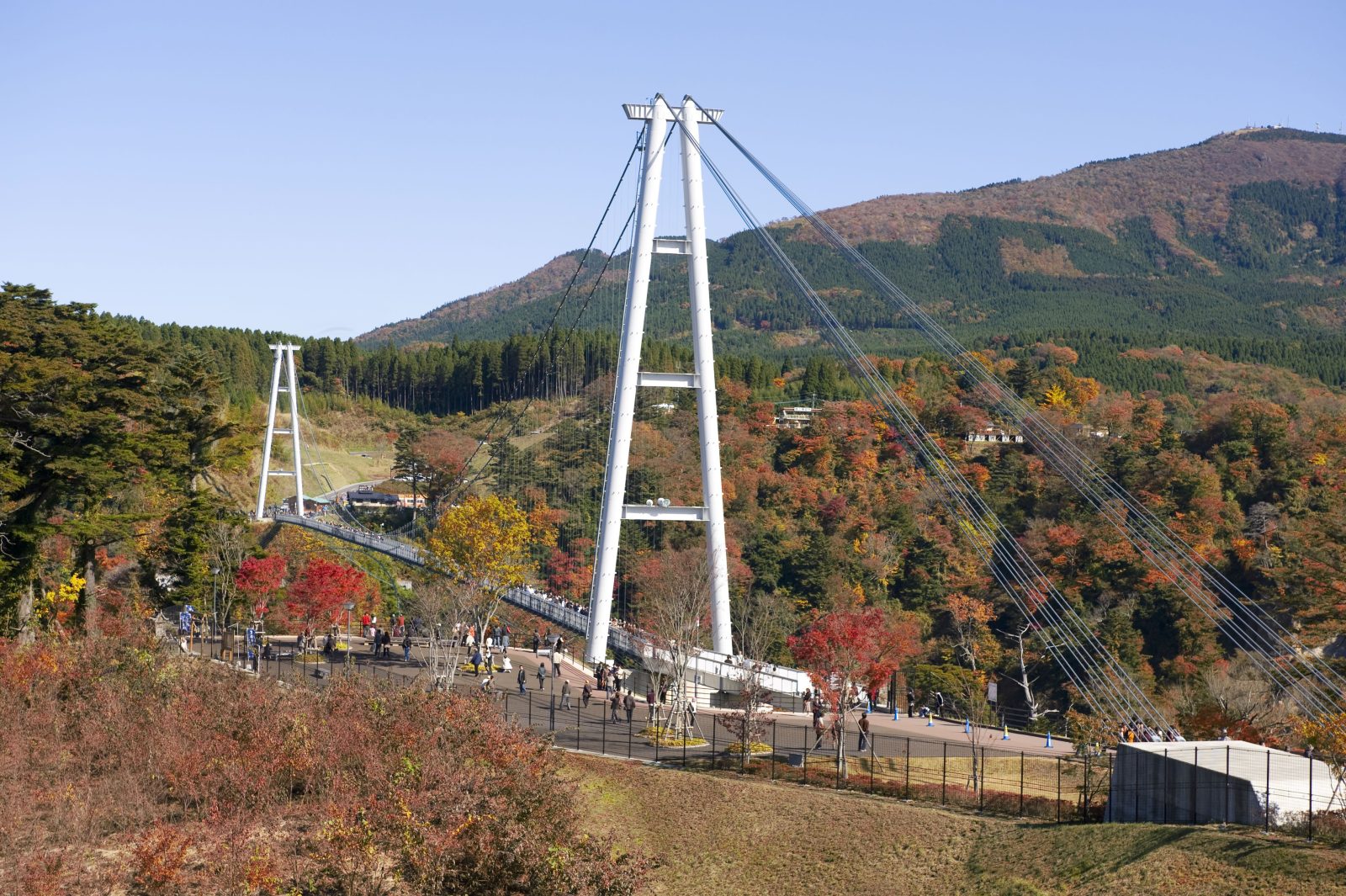 Kuju "Dream" Large Suspension Bridge | Grand Mercure Beppu Bay Resort & Spa [Official]
