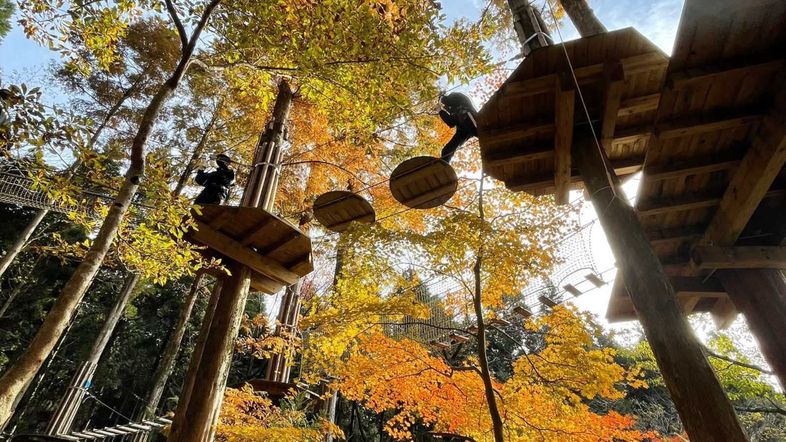 [With experience ticket] Forest Adventure Beppu's Canopy Course Experience / With All-Inclusive