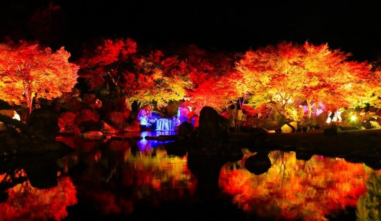 Recommended spots such as autumn leaves in Oita Prefecture