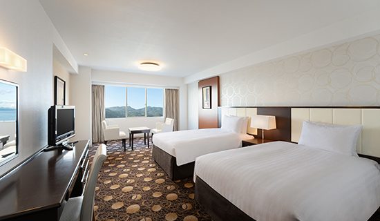 Standard twin mountain view