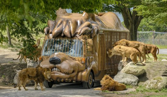 Kyushu Natural Zoological Park "African Safari"