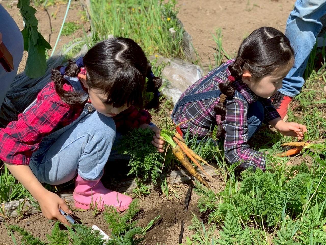 Autumn harvest experience at Farm Sam, a farm with a panoramic view of Beppu Bay