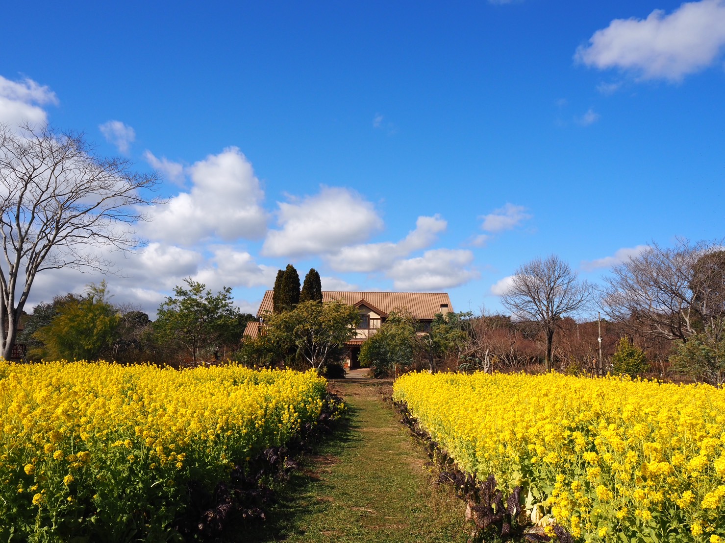A holiday where you can feel the changing seasons at Ogami Farm