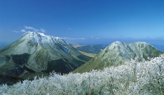 【2024年12月至2025年1月】飯店周邊冬季推薦的觀光景點